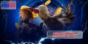 Tin Tức MB88 - Cập Nhật 24/7 Biến Động Kèo Và Ưu Đãi Khủng