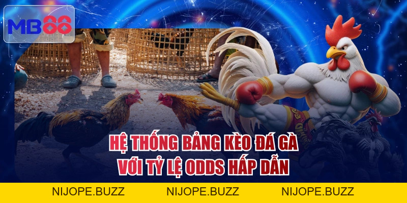 Đá Gà MB88 - Live 4K Siêu Nét, Mãn Nhãn Từng Cú Đá Hiểm