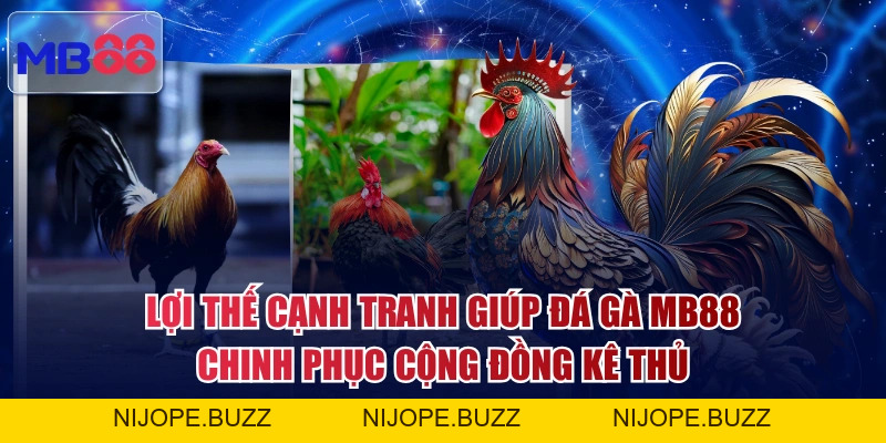 Đá Gà MB88 - Live 4K Siêu Nét, Mãn Nhãn Từng Cú Đá Hiểm