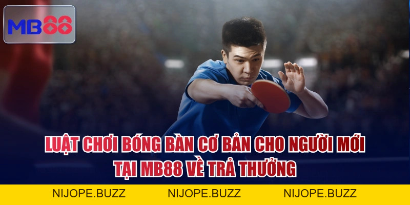Luật Chơi Bóng Bàn Cơ Bản Cho Người Mới Tại MB88 Cần Nắm