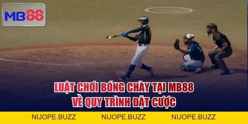 Luật Chơi Bóng Chày Tại MB88 Đơn Giản, Tân Thủ Dễ Nắm Bắt