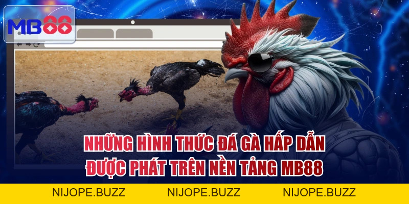Đá Gà MB88 - Live 4K Siêu Nét, Mãn Nhãn Từng Cú Đá Hiểm