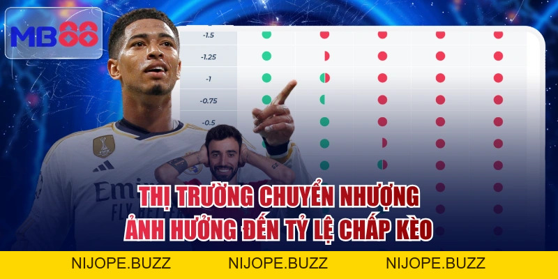 3 Mẹo Soi Kèo Châu Á Từ Cao Thủ Giúp Bạn Thắng Quanh Năm