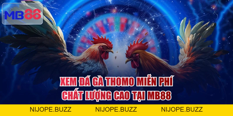 3 Trận Đá Gà Thomo Hấp Dẫn Đáng Mong Chờ Nhất Năm 2026